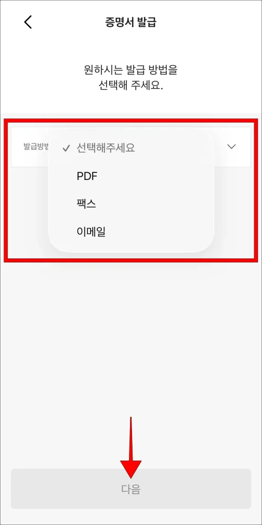 PDF, 팩스, 이메일 중 발급 방법 선택 후 '다음' 선택