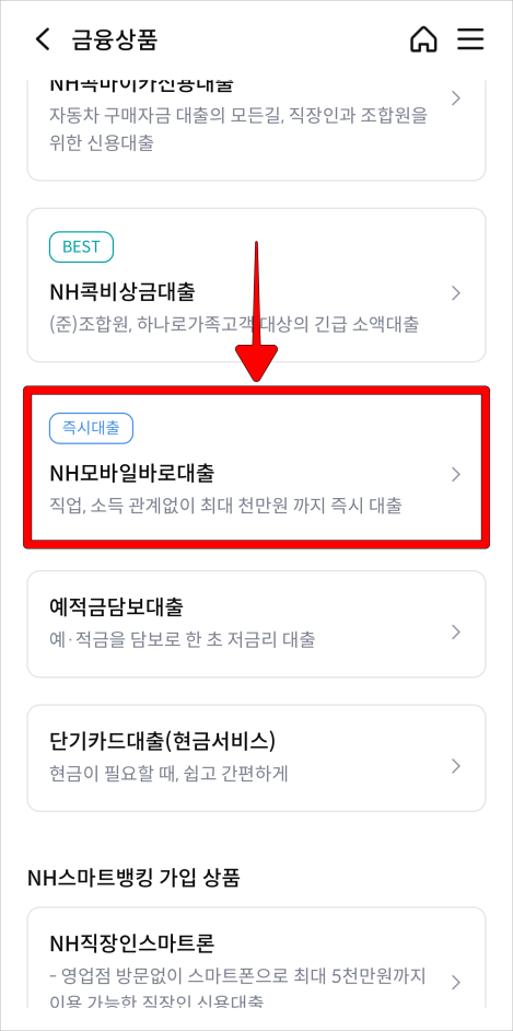 대출 상품의 'NH모바일 바로대출'을 선택