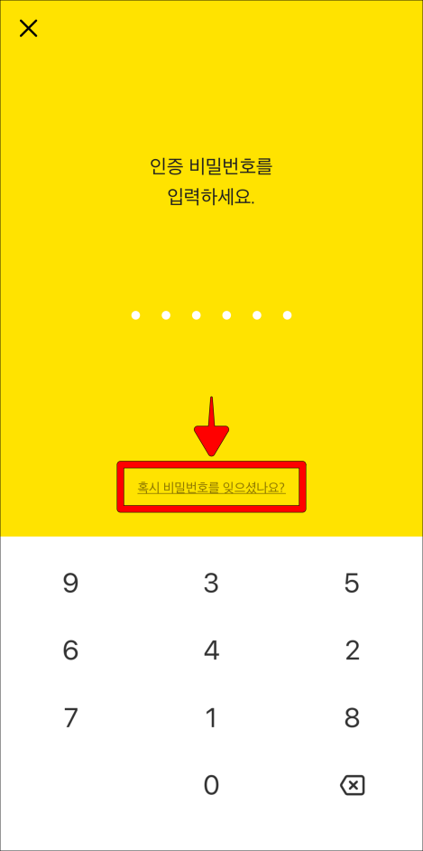 카카오뱅크의 인증 비밀번호 입력 화면 하단의 '혹시 비밀번호를 잊으셨나요?'를 선택