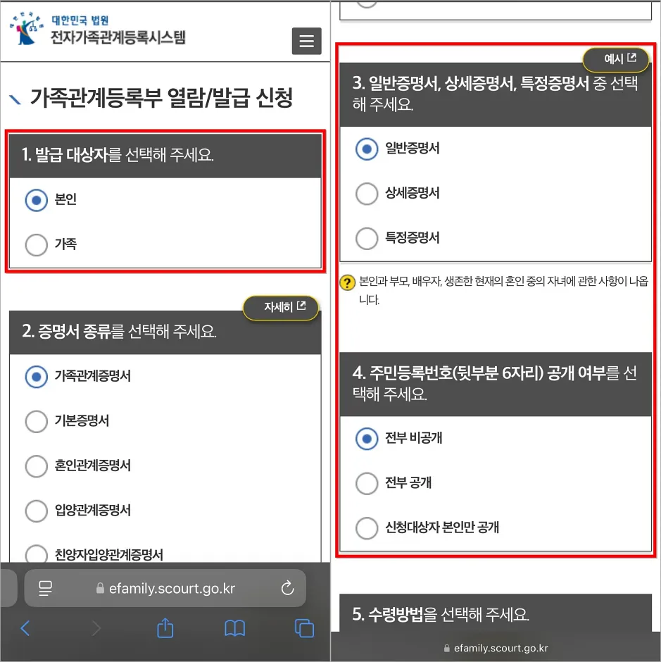 발급 대상자를 선택하고, 일반, 상세, 특정증명서 중 증명서의 형태를 선택한 뒤, 주민등록번호 공개 여부를 선택