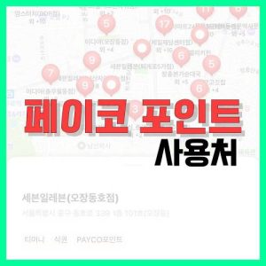 Read more about the article 페이코 포인트 사용처 알아보기