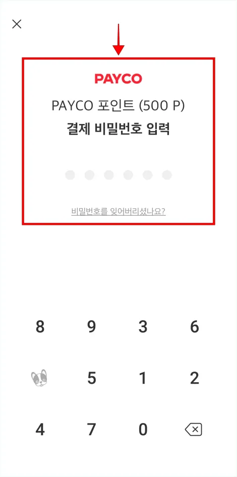 PAYCO의 결제 비밀번호를 입력