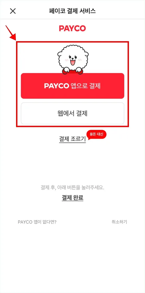 페이코 결제 서비스 화면의 'PAYCO 앱으로 결제' 또는 '웹으로 결제'를 선택