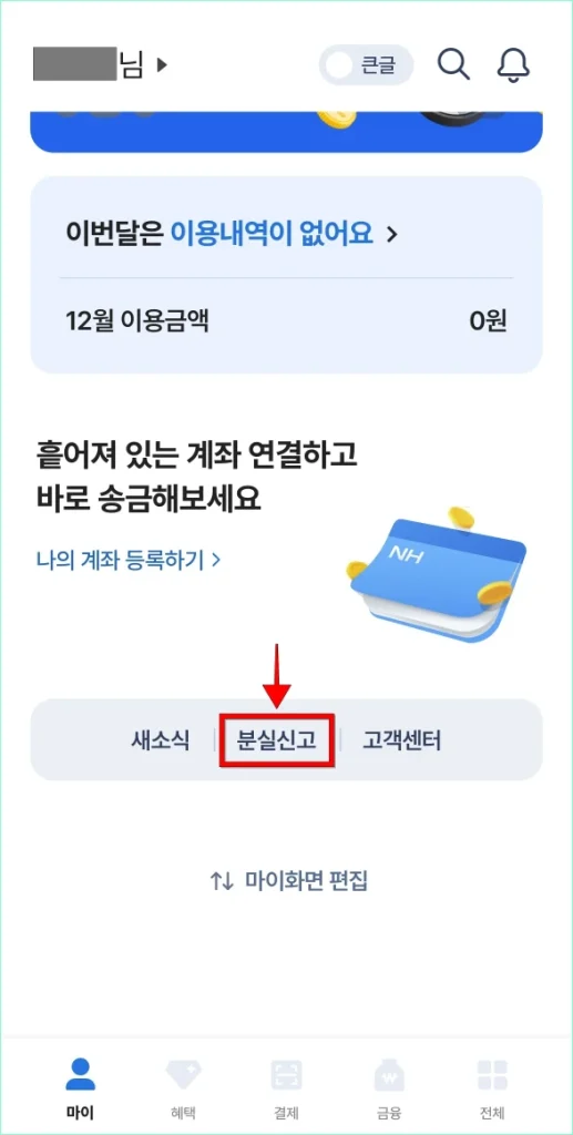 홈 화면에서 '분실신고'를 선택