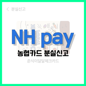 Read more about the article NH pay로 농협카드 분실신고 진행하는 방법