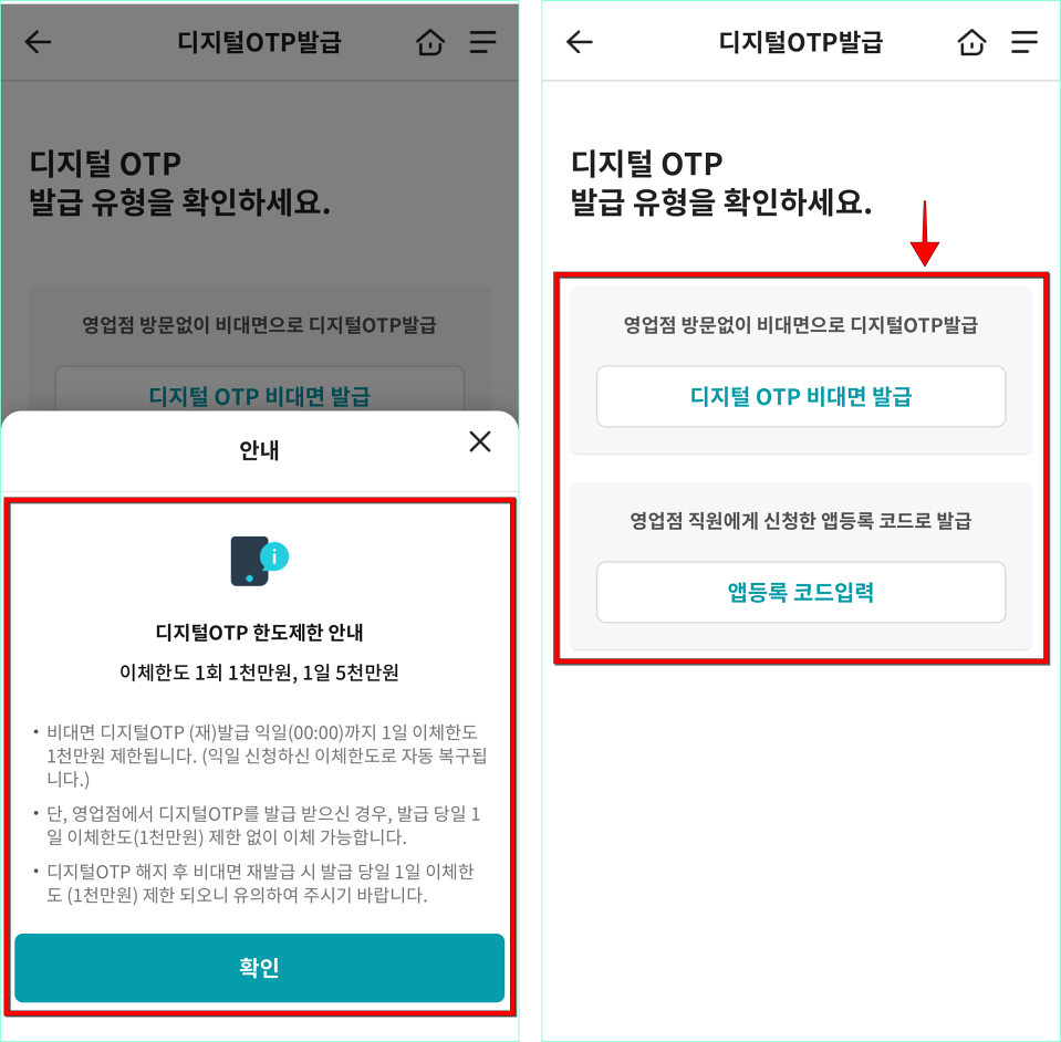 디지털 OTP 관련 안내를 확인하고, 발급 유형을 선택