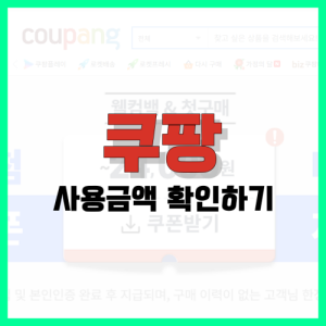 Read more about the article 쿠팡 1년 사용금액 확인 방법 총정리
