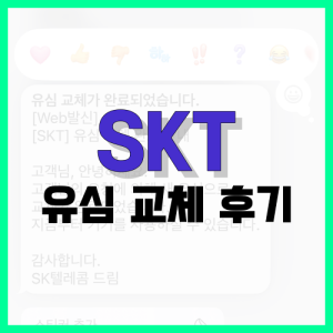 Read more about the article SKT 유심 교체 후기, 오늘 교체하고 왔습니다