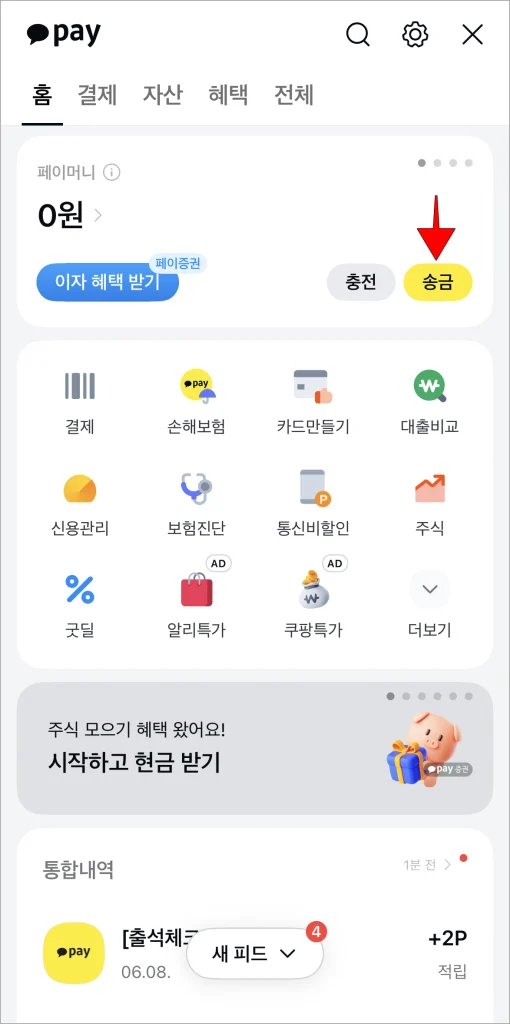 카카오페이 화면의 송금 버튼을 선택