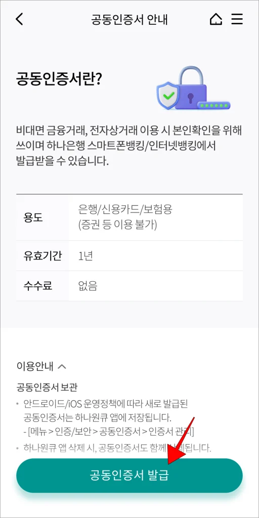 공동인증서 안내를 확인하고, '공동인증서 발급'을 선택