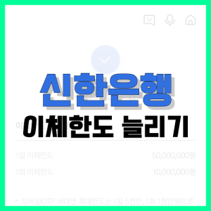Read more about the article 신한은행 이체한도 늘리기, 이 글로 총정리