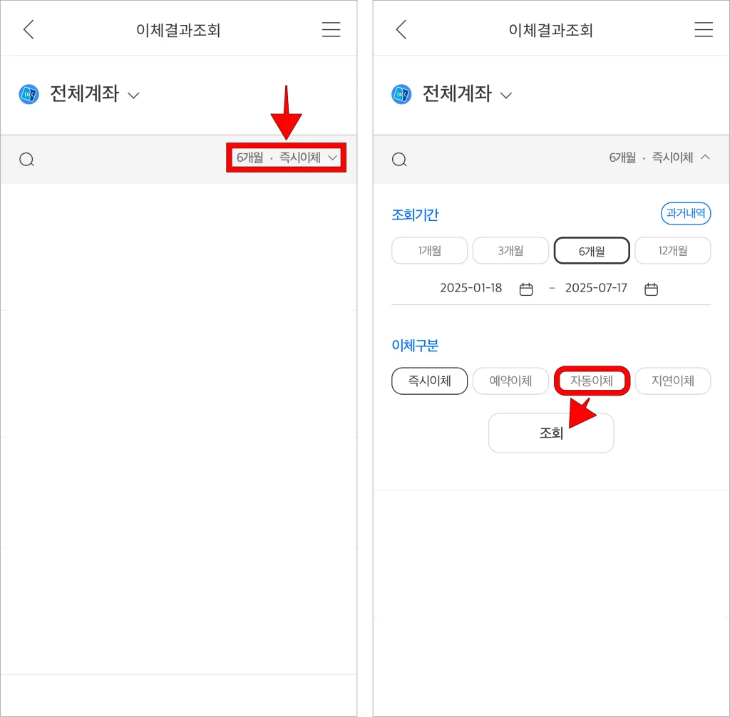 조회 조건(6개월·즉시이체) 버튼을 선택하고, 표시된 설정에서 이체구분을 '자동이체'로 선택한 후 조회 버튼을 선택
