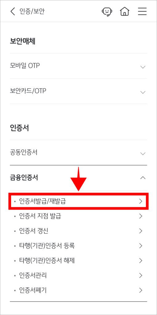 금융인증서 메뉴의 '인증서 발급/재발급'을 선택