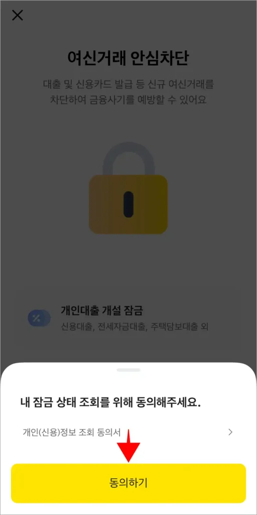 내 잠금 상태 조회를 위해 '동의하기'를 선택