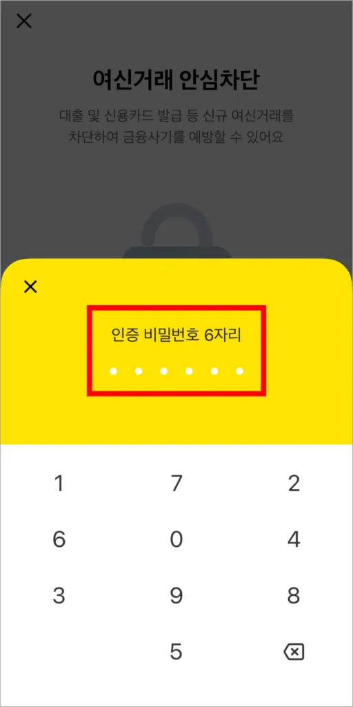 인증 비밀번호 6자리를 입력