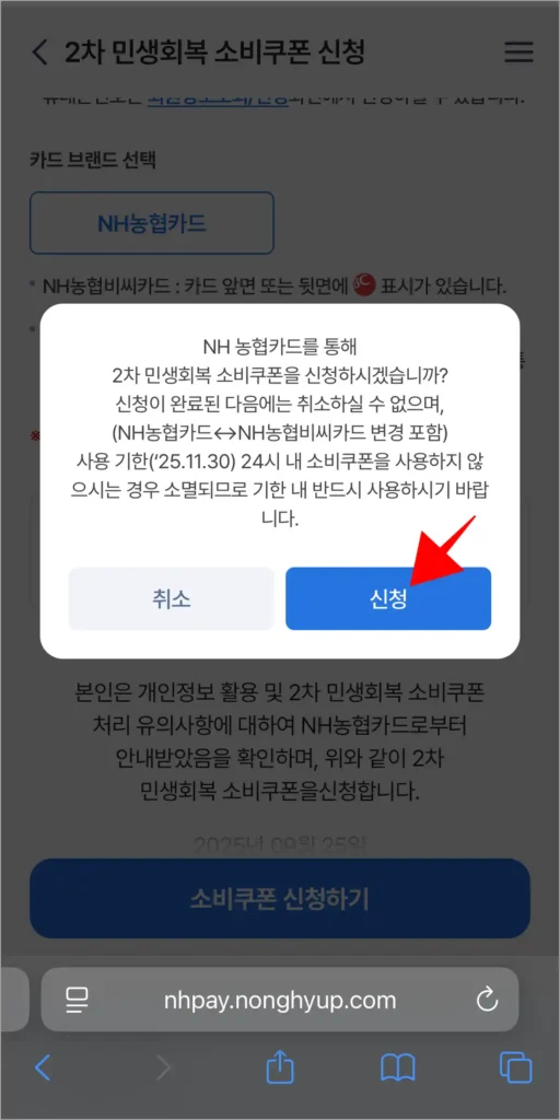화면에 표시된 2차 민생회복 소비쿠폰 신청 안내의 '신청'을 선택