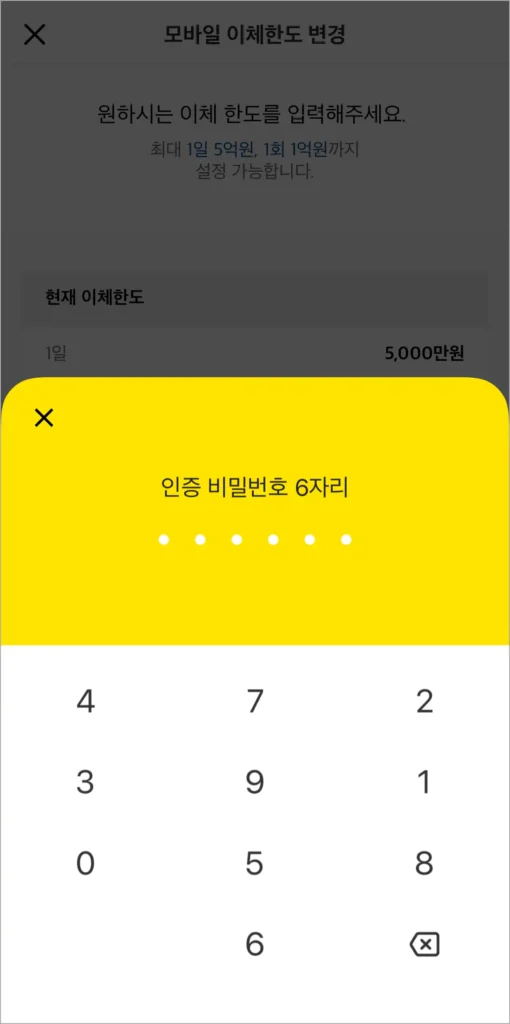 인증 비밀번호 6자리를 입력