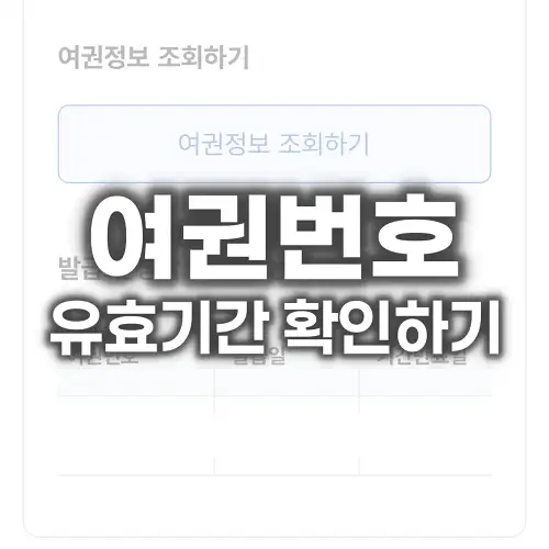 여권번호 유효기간 확인하기