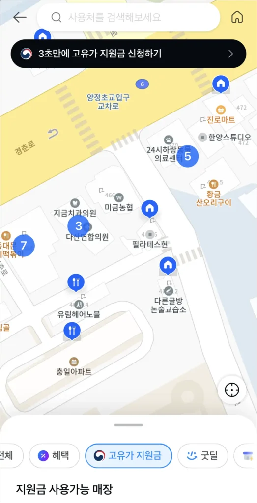 카카오페이 사용처 조회 메뉴에서 고유가 지원금 사용처를 조회한 모습