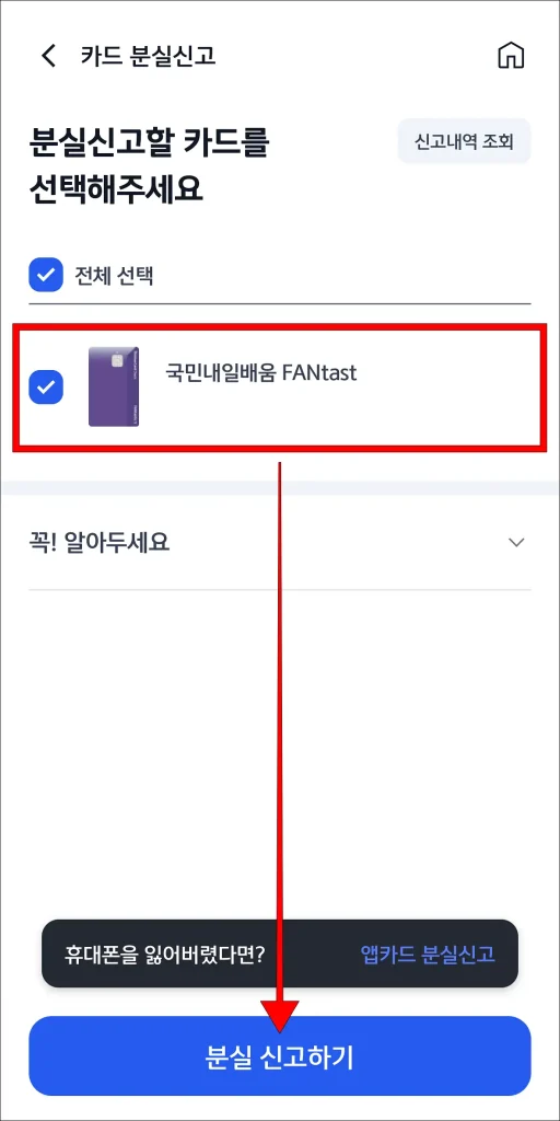 신고할 카드 선택 후 '분실 신고하기' 선택